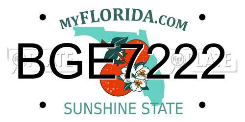 BGE7222 Florida License Plate