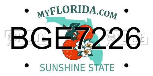 BGE7226 Florida License Plate