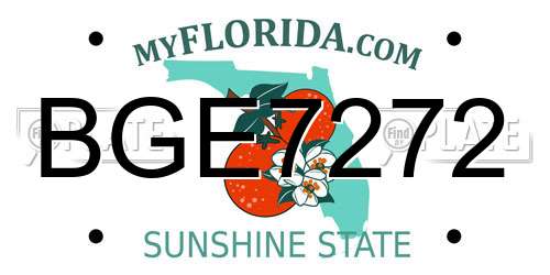 BGE7272 Florida License Plate