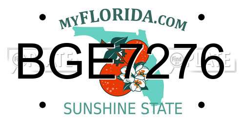 BGE7276 Florida License Plate