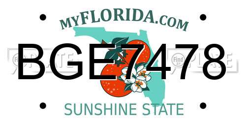 BGE7478 Florida License Plate