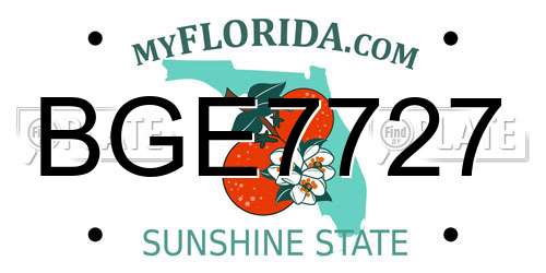 BGE7727 Florida License Plate