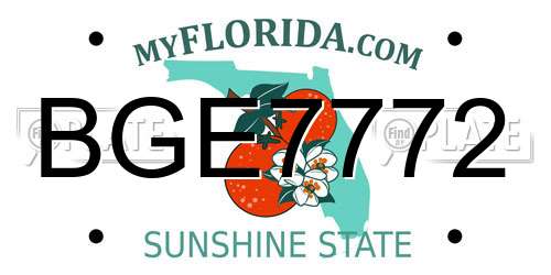 BGE7772 Florida License Plate