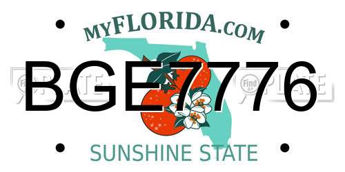 BGE7776 Florida License Plate