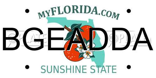 BGEADDA Florida License Plate