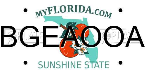 BGEAOOA Florida License Plate