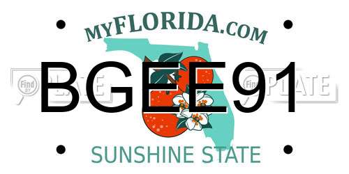 BGEE91 Florida License Plate
