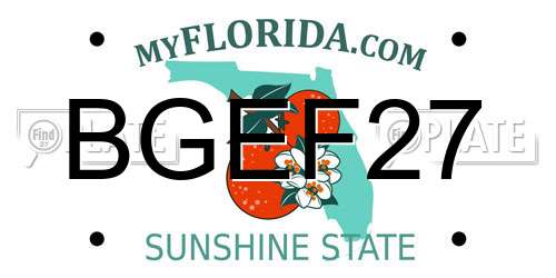 BGEF27 Florida License Plate