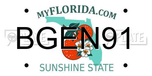 BGEN91 Florida License Plate