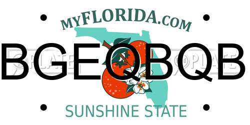 BGEQBQB Florida License Plate