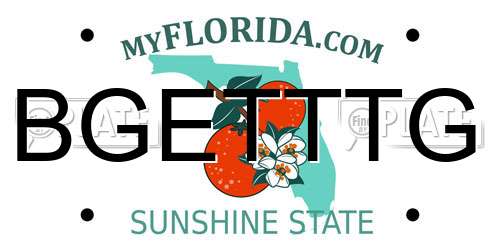 BGETTTG Florida License Plate