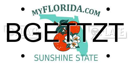 BGETTZT Florida License Plate