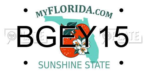 BGEY15 Florida License Plate