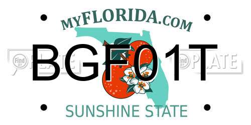BGF01T Florida License Plate