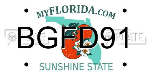 BGFD91 Florida License Plate