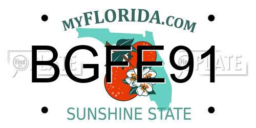 BGFE91 Florida License Plate