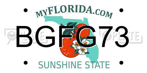 BGFG73 Florida License Plate