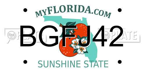 BGFJ42 Florida License Plate