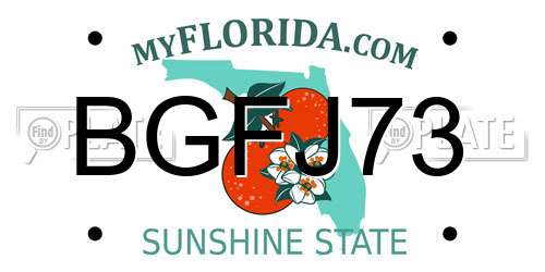BGFJ73 Florida License Plate