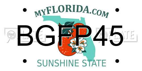 BGFP45 Florida License Plate