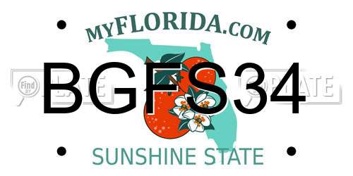 BGFS34 Florida License Plate