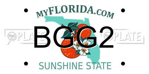 BGG2 Florida License Plate
