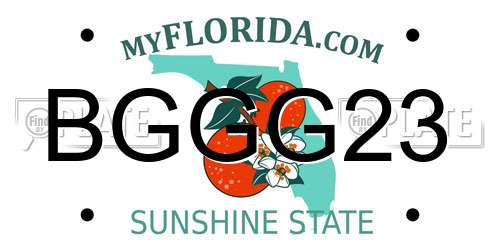 BGGG23 Florida License Plate