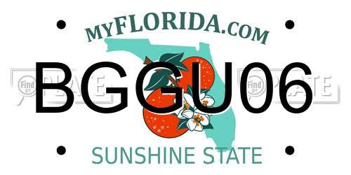 BGGU06 Florida License Plate