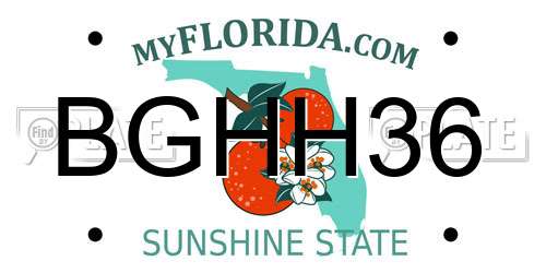 BGHH36 Florida License Plate