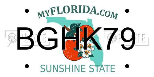 BGHK79 Florida License Plate