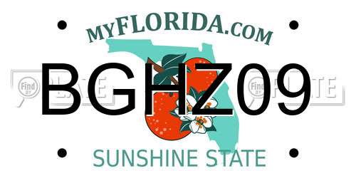 BGHZ09 Florida License Plate