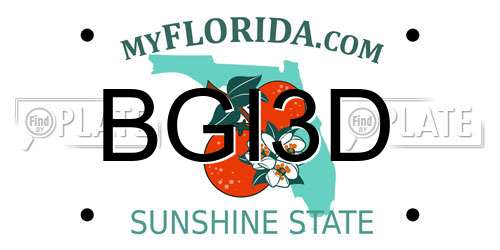 BGI3D Florida License Plate