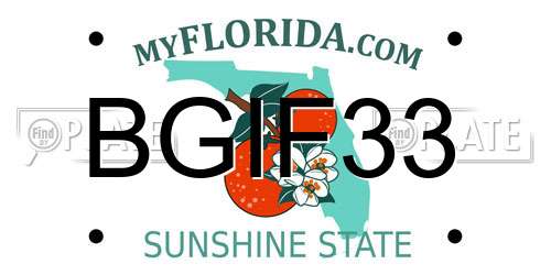 BGIF33 Florida License Plate