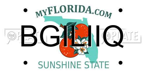 BGILIIQ Florida License Plate
