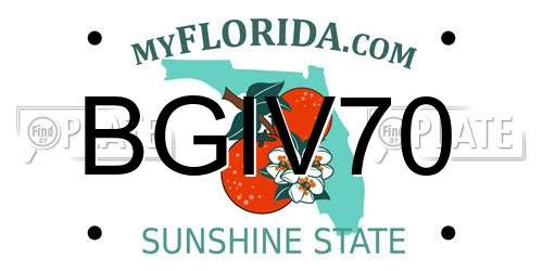 BGIV70 Florida License Plate