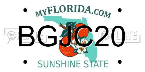 BGJC20 Florida License Plate