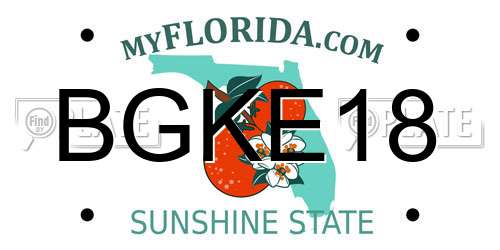 BGKE18 Florida License Plate