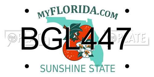 BGL447 Florida License Plate