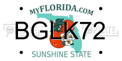 BGLK72 Florida License Plate