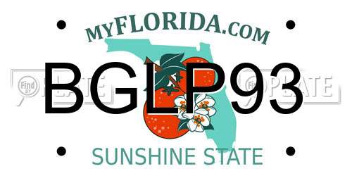 BGLP93 Florida License Plate