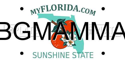 BGMAMMA Florida License Plate