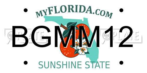 BGMM12 Florida License Plate