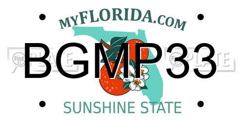 BGMP33 Florida License Plate