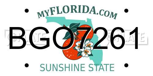BGO7261 Florida License Plate