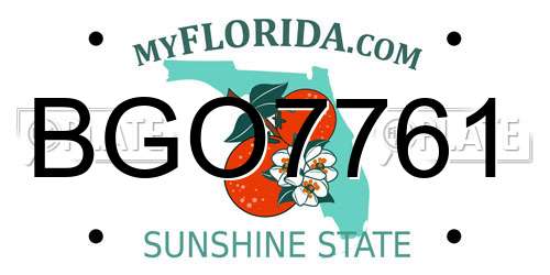 BGO7761 Florida License Plate