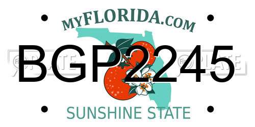 BGP2245 Florida License Plate