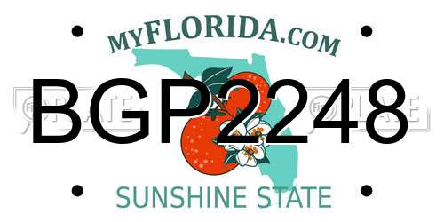 BGP2248 Florida License Plate