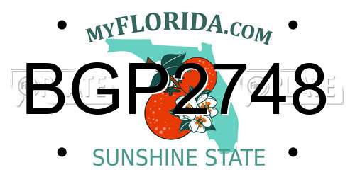 BGP2748 Florida License Plate