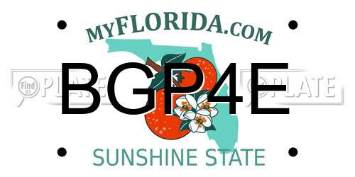 BGP4E Florida License Plate