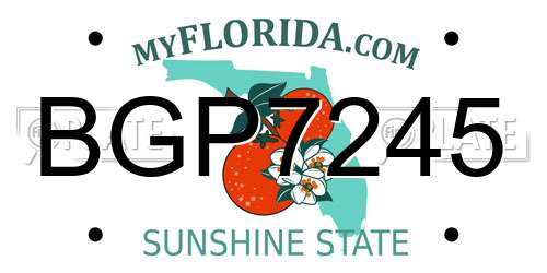 BGP7245 Florida License Plate